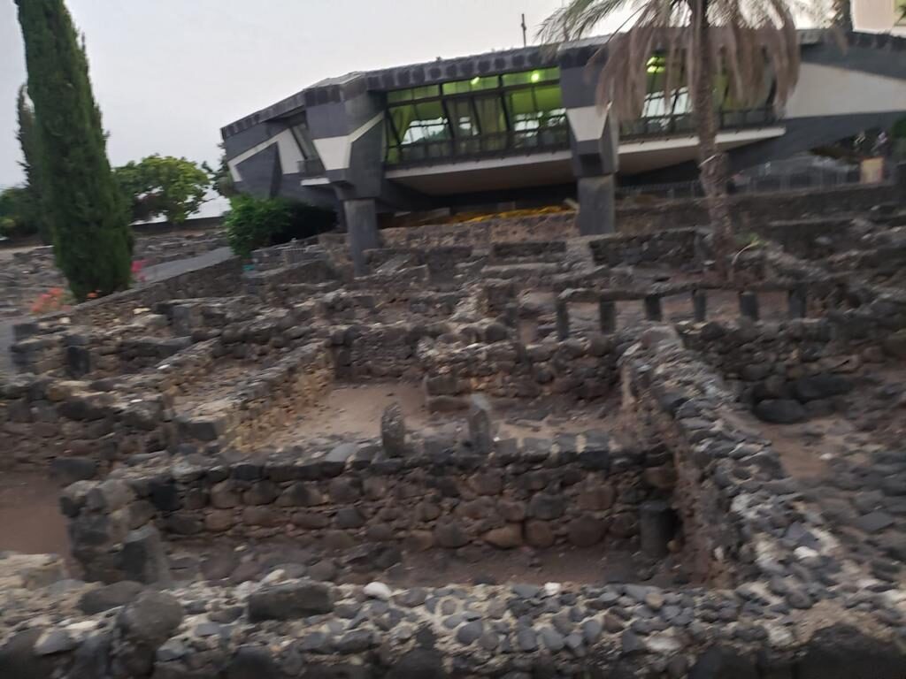 PHOTO-2020-07-07-23-42-50 2