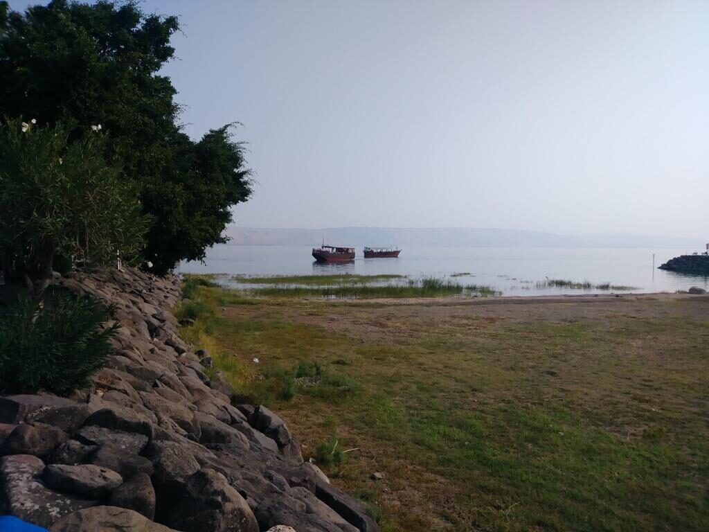 PHOTO-2020-07-07-23-58-43