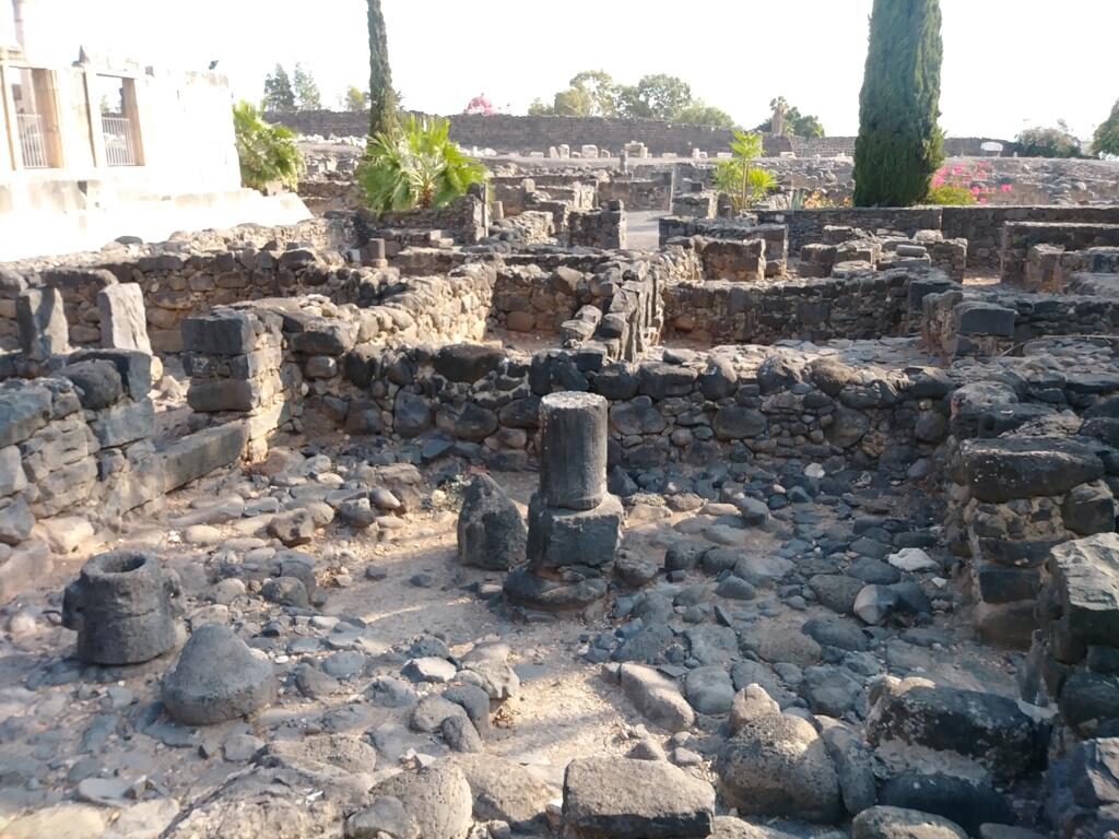 PHOTO-2020-07-08-00-08-20 4