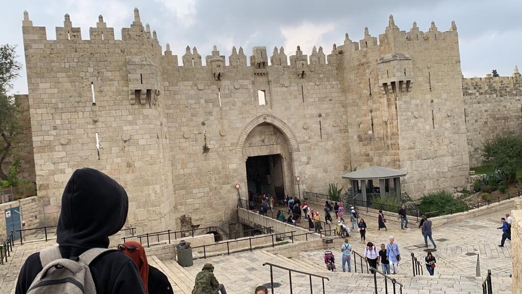 PHOTO-2020-07-08-00-10-32