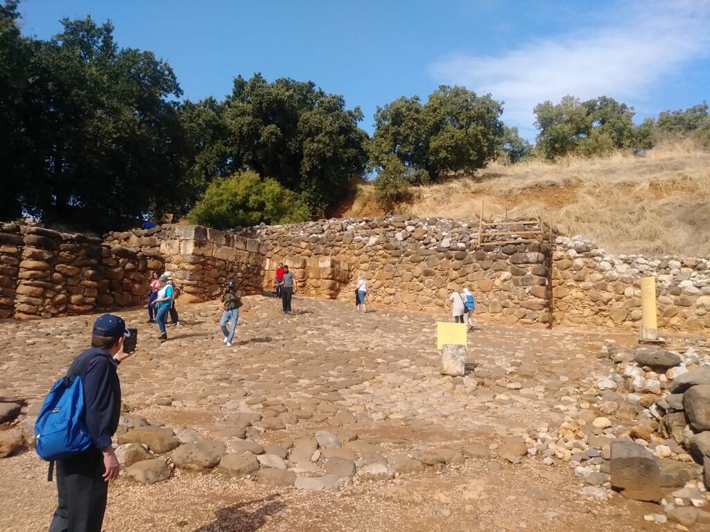 PHOTO-2020-07-08-00-10-32 11