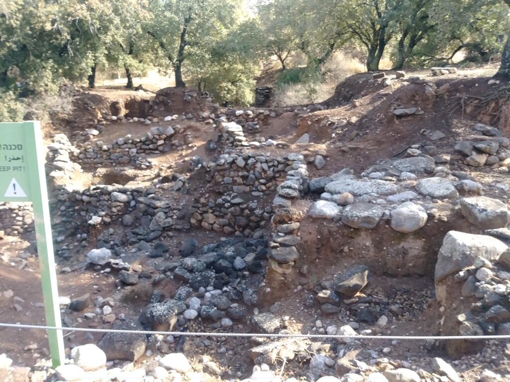 PHOTO-2020-07-08-00-10-32 5