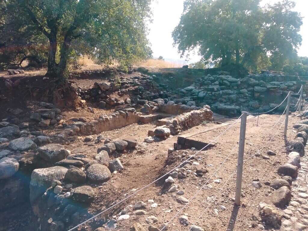 PHOTO-2020-07-08-00-10-32 6