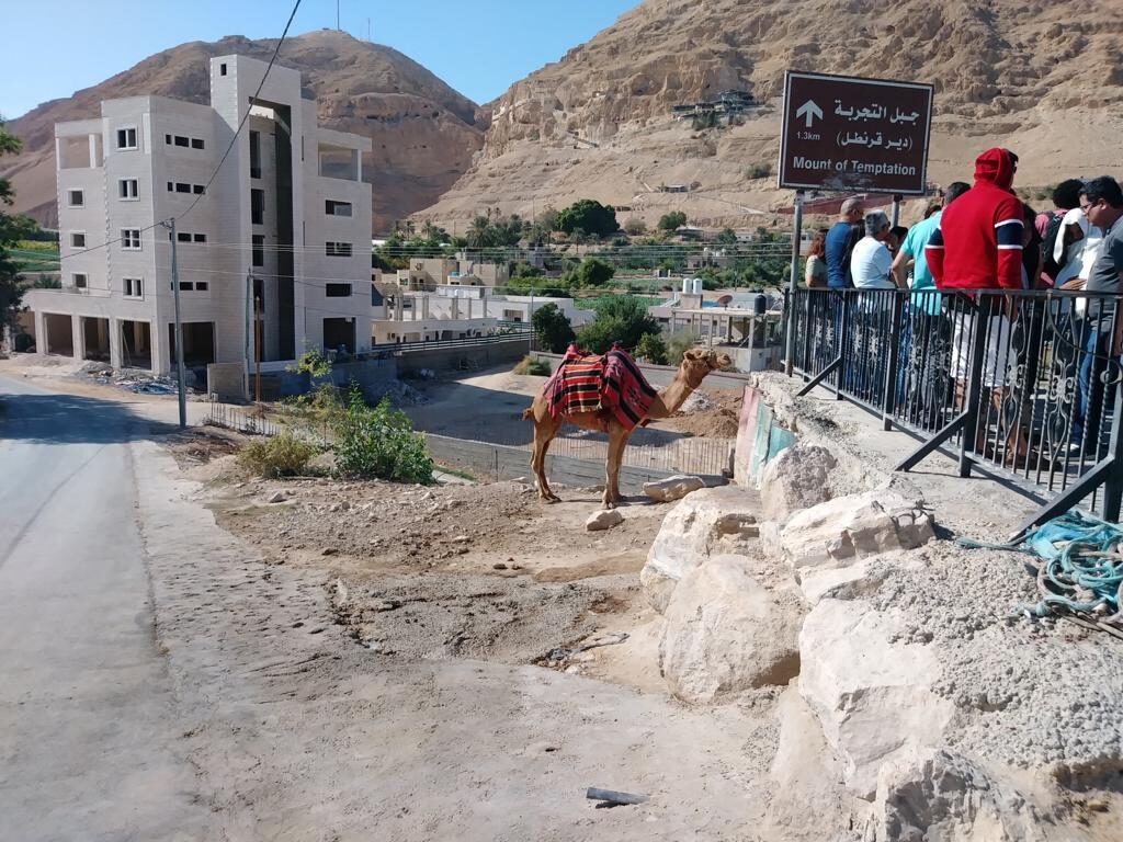 PHOTO-2020-07-08-00-17-20 4