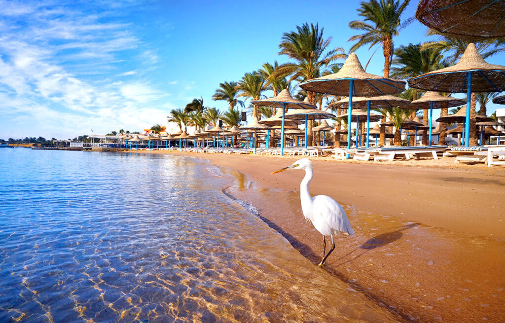 Hurghada-coast-beach-attractions-in-Egypt
