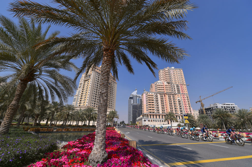 Cycling: 5th Tour Dubai 2018 / Stage 3
Landscape / Peloton / Dubai City / Palmtree / 
Skydive Dubai - Fujairah (190km)/  Dubai Silicon Oasis Stage / Dubai Tour  / (Photo by Tim de Waele/Getty Images)